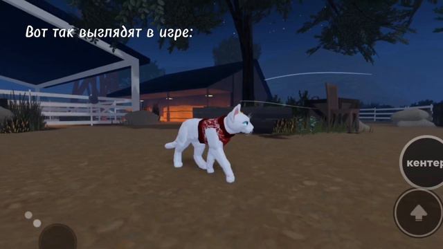 ОБЗОР ВЕЩЕЙ КОТОРЫХ НЕТУ В ИГРЕ warrior cats ultimate edition смотреть онлайн