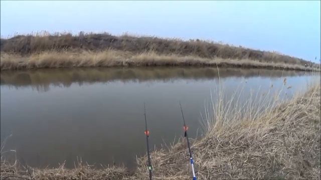 Открыл сезон по сазану! смотреть онлайн