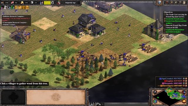 A Perfect Martyr (Hard) - Age of Empires 2: Definitive Edition - Joan of Arc смотреть онлайн