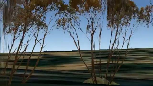 Sketchup + Google Earth 3D Mallee trees from the OzFlux Calperum site in South Australia смотреть онлайн