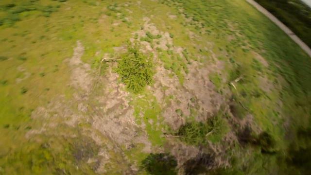 Dizzy FPV смотреть онлайн