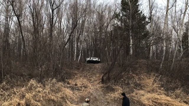 Из Усть-Катуни в Амурское смотреть онлайн