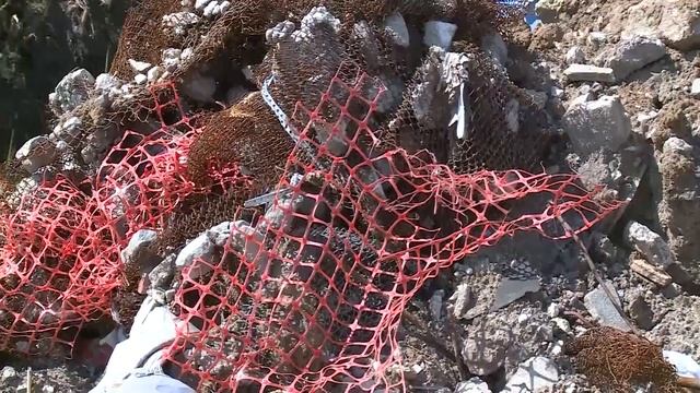 Статус озера «Дикая утка» смотреть онлайн