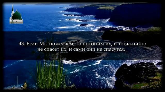 Сура Ясин | Слушайте коран каждый день. смотреть онлайн