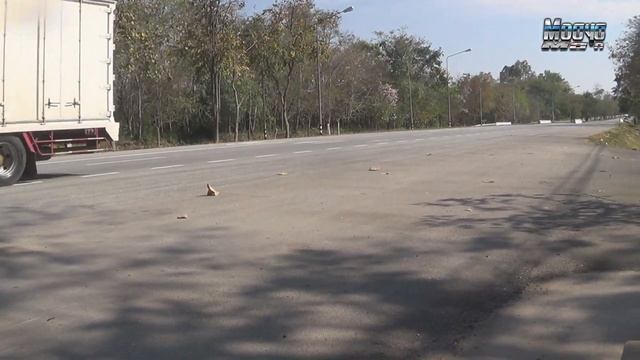 [ Suzuki GD110] กับการเดินทางครั้งที่สอง กทม.-เชียงใหม่ смотреть онлайн