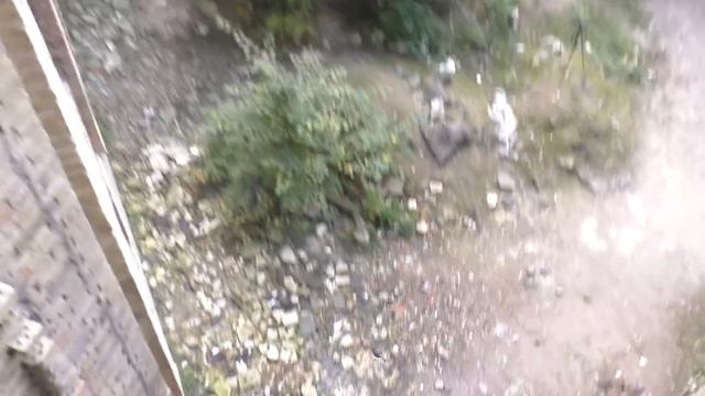 EXPERIMENT : Dropping Down From 100ft