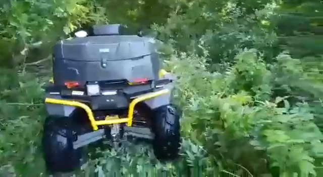 Порыбачил на три миллиона рублей... смотреть онлайн