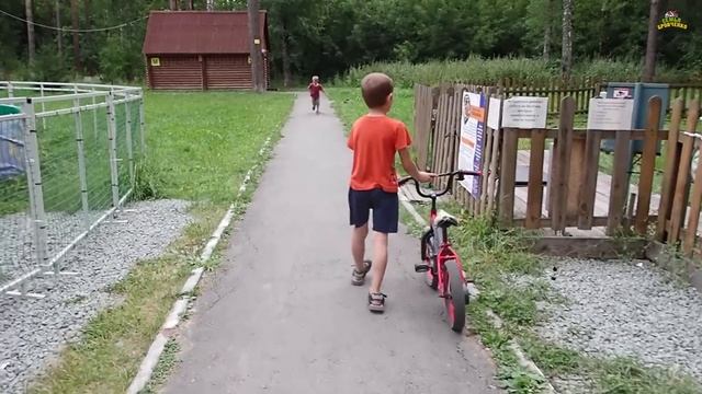 Прогулка в парке с младшими детьми. Сбор ягоды. (08.22г.) Семья Бровченко. смотреть онлайн