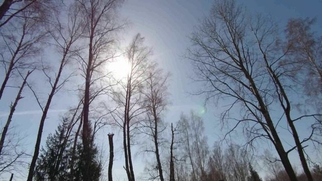 ELBIKE PHANTOM VIP 13 первый выезд 3 серия 0065~1