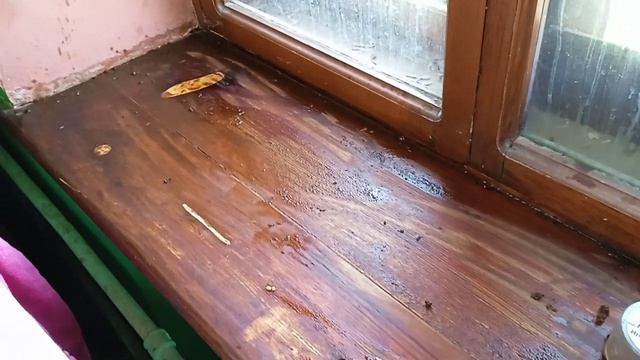 СО6. Моем подоконник