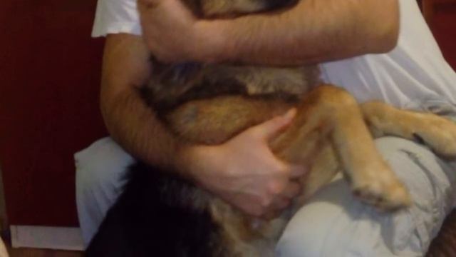 Мост радуги смотреть онлайн