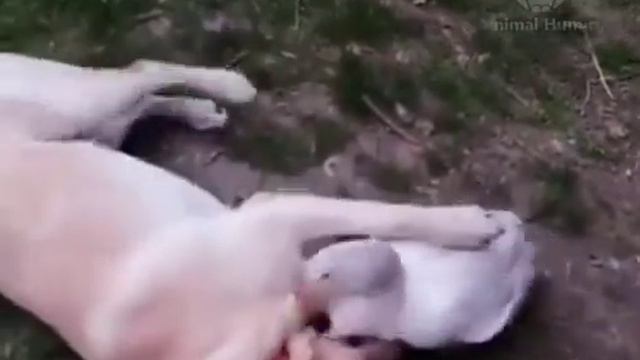 - Доброе утро, как спалось?- Не знаю, я спал... смотреть онлайн