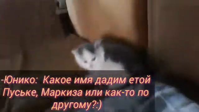 Какое имя дадим этой Пуське,Муркиза или как-то подругому?+Фото с ней,как мы с ней спали 3часа назад смотреть онлайн