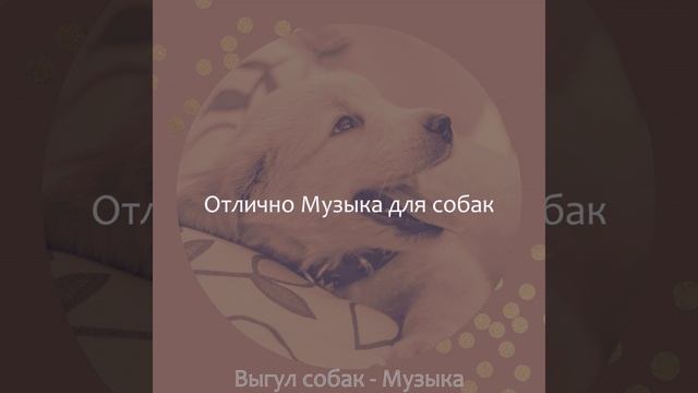 Атмосфера (Собаки) смотреть онлайн