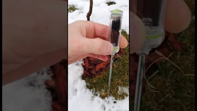 Мульчирование почвы. Замеры температуры.