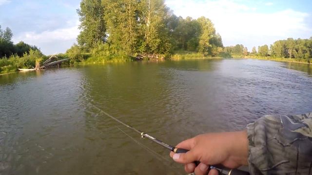 Рыбалка на ЩУКУ на лесной речке. смотреть онлайн