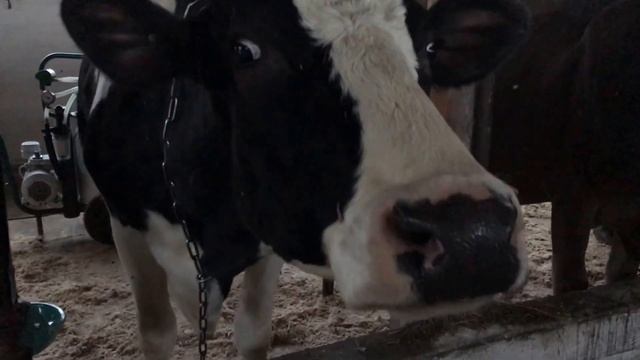 Окончание, обзор подворья. Богородицкий Житенный женский монастырь г. Осташков.