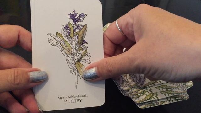 Hedgewitch Botanical Oracle Cards -Close Up Review plus Bonus Reading! смотреть онлайн