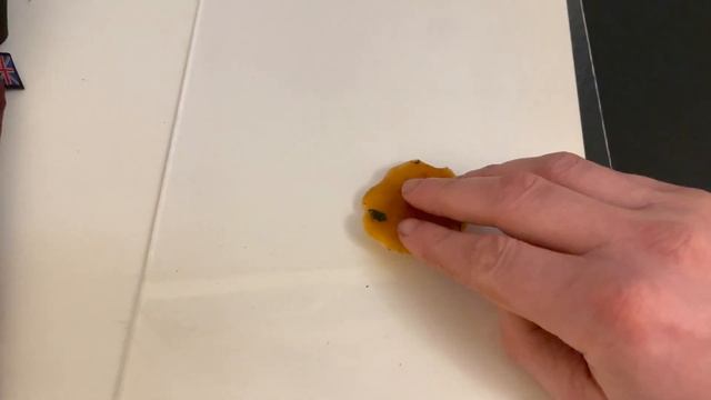 Making a Spore Print- Mushroom Identification смотреть онлайн