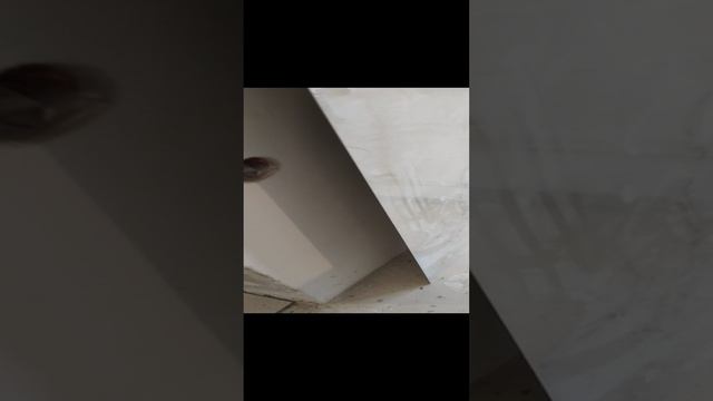 VID_20240422_103452.mp4