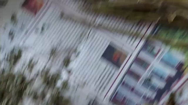 Новогодние подарки из сада, своими руками, из заготовленных растений смотреть онлайн