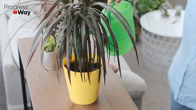 1 Капля Под Все Домашние Цветы И Дома У Вас Будет Цветущий Сад, Лучшая Подкормка Для Домашних Цвето смотреть онлайн