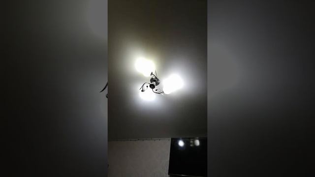 Включил свет, а тут такое🤔 смотреть онлайн
