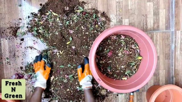 Best Potting Soil Mix - With and Without Bio-Fertilizers смотреть онлайн