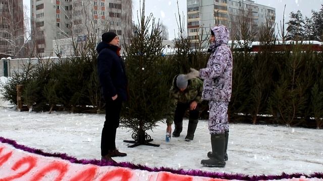 Продажа елок на новый год, как бизнес. Бизнес идеи. смотреть онлайн