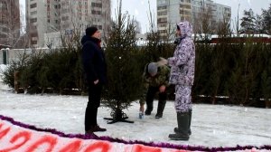 Продажа елок на новый год, как бизнес. Бизнес идеи.