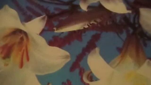 Я тебе весь мир подарю- все моря, все цветы и зарю, птиц весенних над рекой и месяц в небе(наброски смотреть онлайн