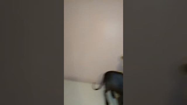 Сфинкс смотреть онлайн
