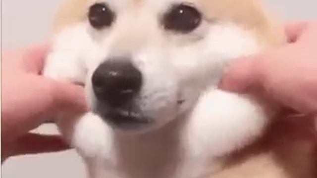 Пухленькие щёчки смотреть онлайн