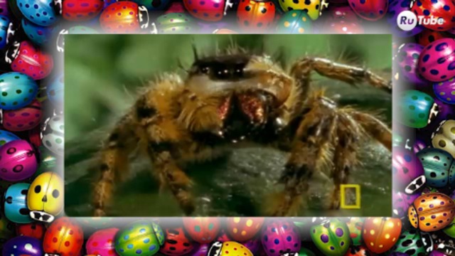 Ползучие гады смотреть онлайн