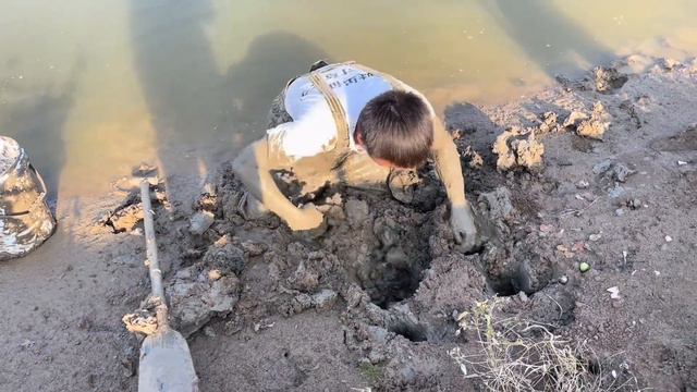 湖北鱼塘鳝鱼就是多，随便一个大洞扣进去，都是七八两的大鳝鱼！ смотреть онлайн
