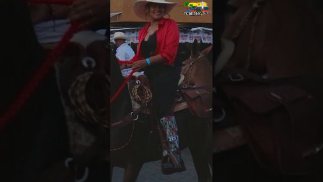 Desfile_a_Caballo_en_Caicedonia_COLOMBIA_🐴___cabalgata___co смотреть онлайн