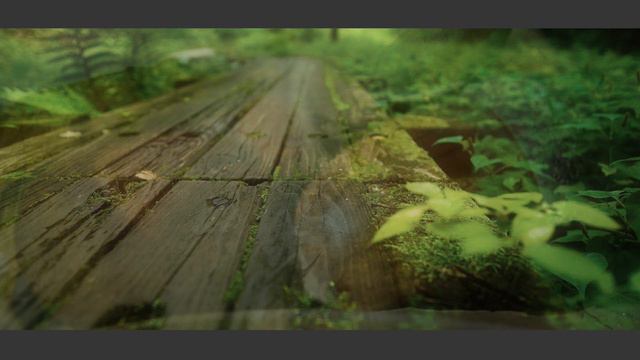 My Neighbor Totoro /Joe Hisaishi / Native American Flute cover смотреть онлайн