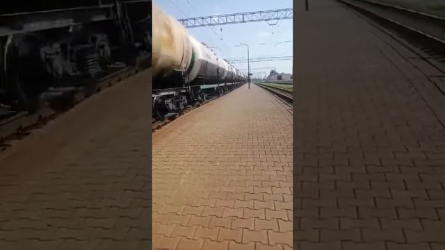 ВЛ80с 612 с грузовым поездом и ЭПр 006 Минск-Гомель ( Марьина Горка) железная дорога поезда смотреть онлайн