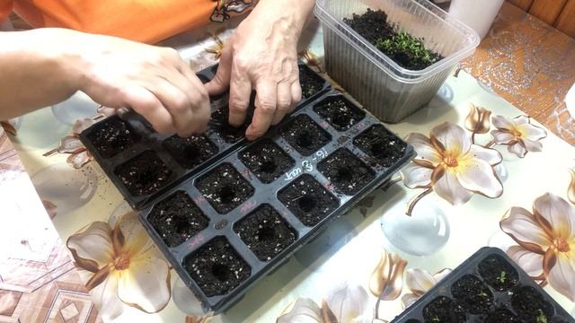 Эустома Пикируем по ячейкам. смотреть онлайн