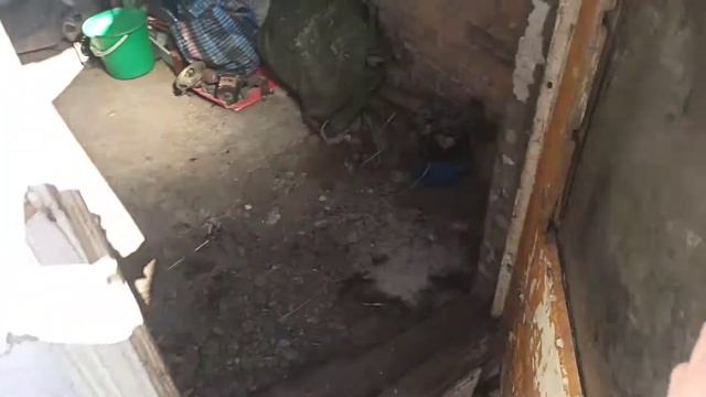 Замер максималки мопеда карпати 100 км/ч? смотреть онлайн