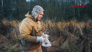 Звероловы. Охота на красную лисицу