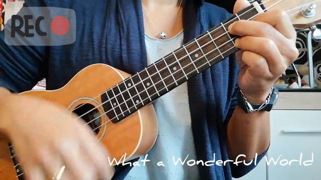What a Wonderful World - Louis Armstrong (LydiaZ Ukulele Cover) смотреть онлайн