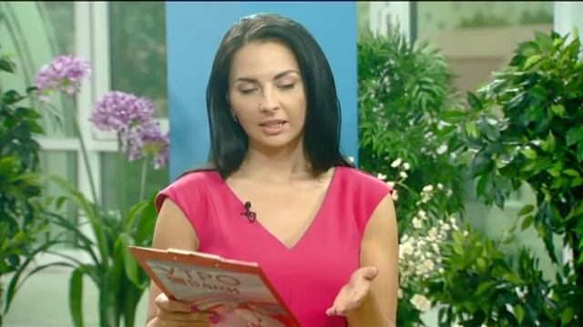 В тренде! - «Утро с вами» 27.06.2016 смотреть онлайн