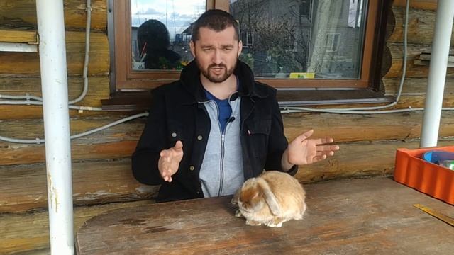 Можно ли дарить животных на день рождение? смотреть онлайн