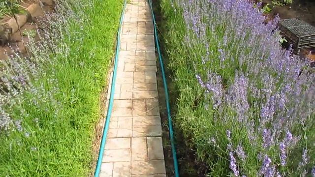 Спортивные Моменты и Экстрим-спорт