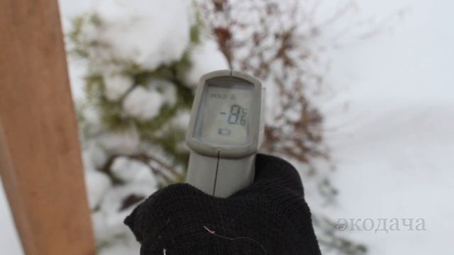 Розы не успели укрыть. Что делать смотреть онлайн