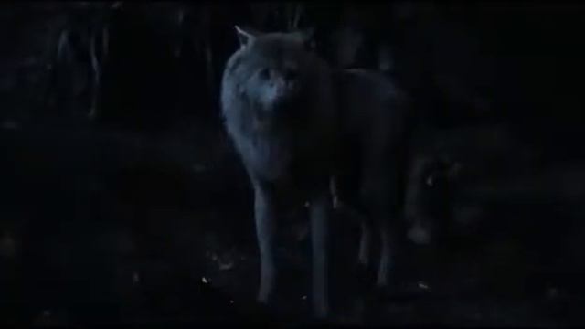 Сумерки.Реквием по мечте смотреть онлайн