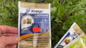 Обработка сада от монилиоза.