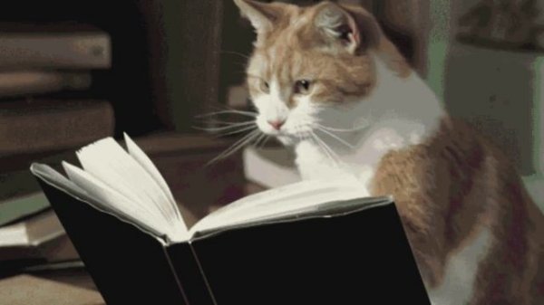 Антон Павлович Чехов - Палата номер № 6 - глава 18- Anton Pavlovich Chekhov - Ward 6 - chapter 18