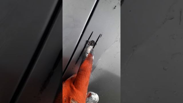 Дорожная вдохновительница